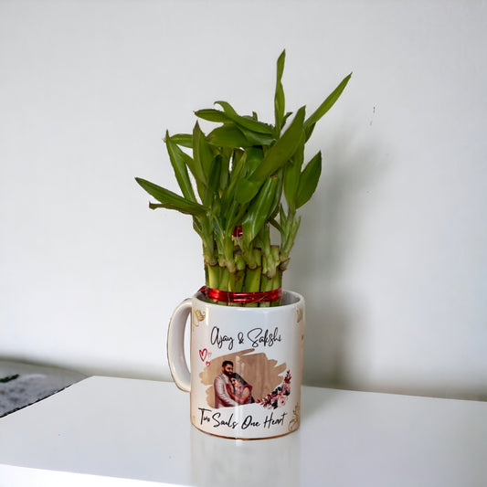 Buy or send Lucky Bamboo in Personalised White Mug online with delivery from Bakers WAgon